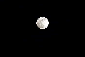 Mond am Himmel, Himmel, Nacht-, voll, Mond, Weiß, schwarz, Mondoberfläche, Vollmond, Astronomie, planetarischer Mond