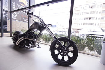 moto chopper nera, bicicletta, ruote, display, bicchiere, finestra, grande, motociclo, veicolo, costruzione, piante