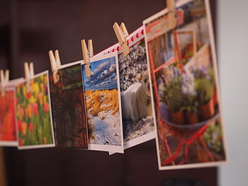 closeup, assorted, pictures, postcards, greeting card, cards, wishes, vouchers, celebration, wedding, wedding idea
