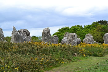 menhir, kameny, carnac, menhiry, brittany, Francie, vyrovnání, megalitů, tráva, žluté květy, megalit