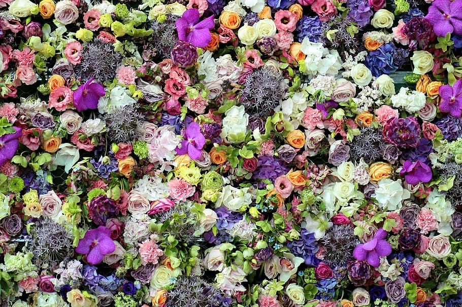 multicolored flowers, flowers, carpet, coloring