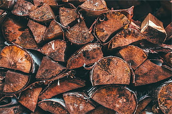 hnědé dříví, hnědý, palivové dříví, hodně, dřevo, protokoly, řezivo, jídlo a pití, jídlo, nikdo, Zdravé stravování