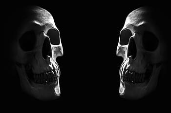two, skulls, digital, wallpaper, anatomy, background, body, bone, brain, cranium, creepy