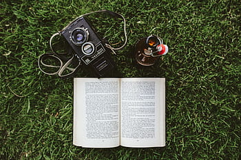grama, livro, leitura, folha, literatura, ao ar livre, câmera - equipamento fotográfico, verão, música, vista de alto ângulo, comunicação
