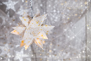 superficiale, fotografia a fuoco, bianca, arancia, arredamento floreale, Natale, periodo natalizio, decorazione natalizia, decorazioni natalizie, Avvento, gioielli dell'avvento
