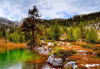 tubuh, air, dikelilingi, pohon, batu, Dolomites, Fanes, Landscape, Pegunungan, rock, alpine