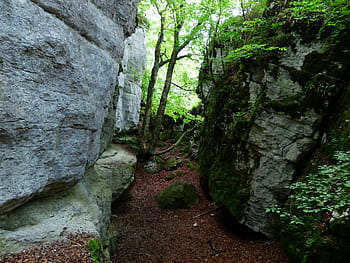 Cleft Rock, Sheep Mountain, Gorge, rock, swabian alb, zollernalb, alb eaves, hike, alb hike, excursion day, destination