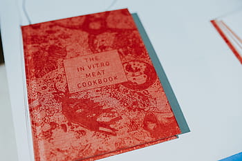 merah, buku, putih, meja, buku merah, membaca, sastra, buku masak, tidak ada orang, latar belakang putih, close-up