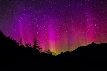 silhouette, trees, stars, digital, wallpaper, northern lights, sky, night, landscape, nature, dark