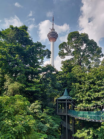 πάρκο, οικολογικό δάσος, πύργος, kl, kuala, lumpur, Μαλαισία, ουρανοξύστης