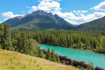 brown, train, body, water, daytime, cargo, bow river, banff, alberta, canada, forest