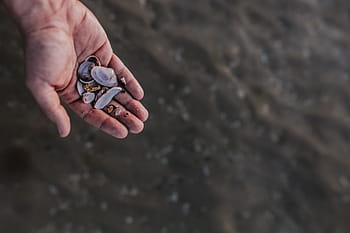 水に触れる、 触れる、 水、 海、 手、 男性、 水景、 人間の手、 自然、 持つ、 クローズアップ