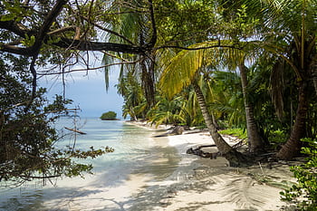 panama, wyspa, Karaiby, plaża, morze, raj, woda, piasek, egzotyczny, san-blas, archipelag