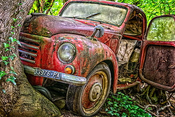 abandoned, red, vehicle, tree, daytime, pkw, accident, destroyed, auto, damaged, damage