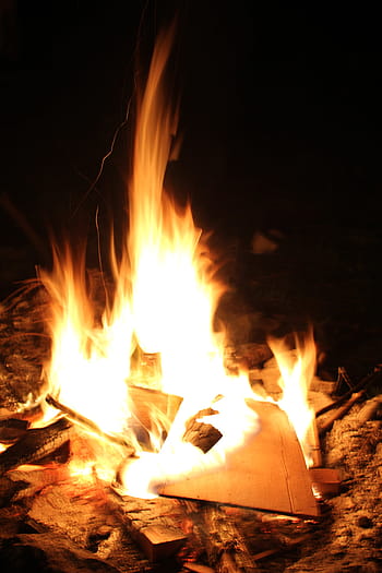 falò durante la notte, fuoco, legna, campo, all'aperto, cucinare, scintilla, verde, erba, le foglie, buio