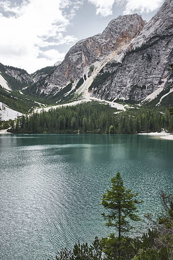 mountain near lake, mountain, valley, trees, landscape, nature, green, grass, plants, lake water, sky