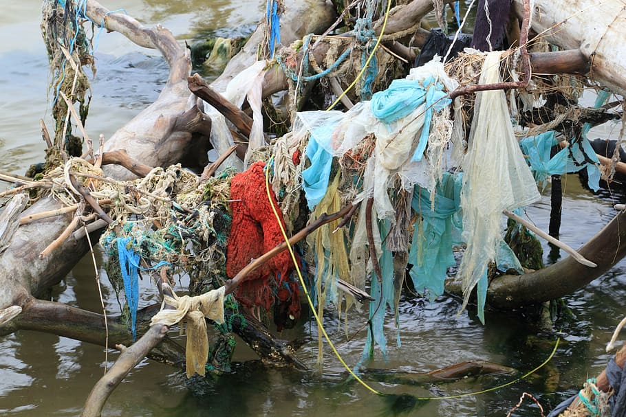 plasty různých barev, hnědý, naplavené dříví, Lotyšsko, kolka, znečištění, pláž, moře, voda, dřevo, pobřeží