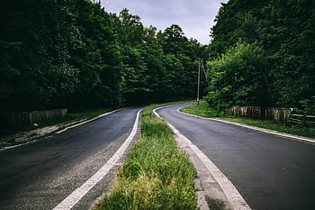 andar, floresta, verde, grama, folhas, árvores, parque, ao ar livre, turismo, caminho, bosques