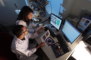 muž, žena, sedící, počítač, monitor, laboratoř, výzkum, vědecký, Věda, technologie, biotechnologie