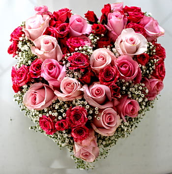a forma di cuore, rosa, rosso, composizione floreale di rose, Rose, fiore, rosa rossa, rosa fiorita, fioriture di rose, fiorire, fioritura