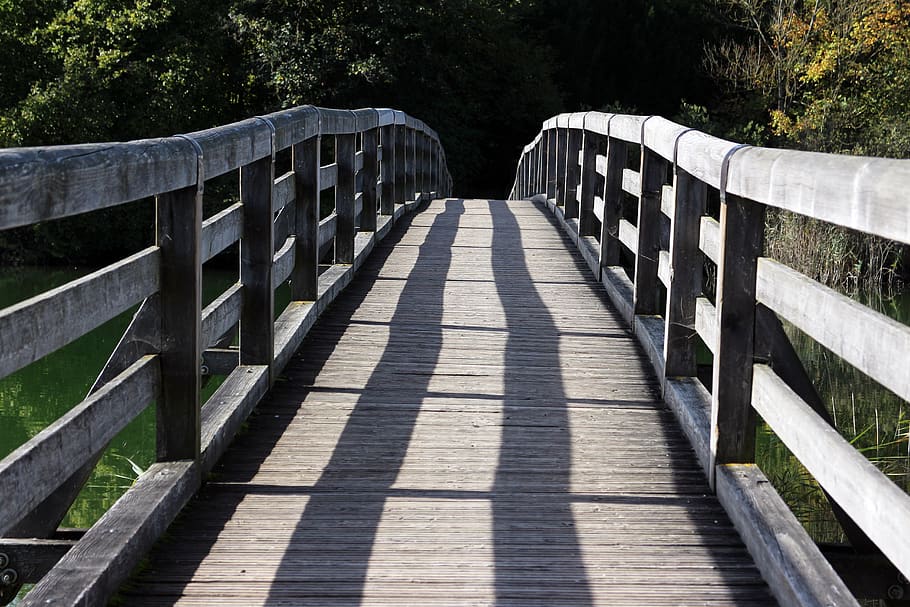 bridge, web, wooden bridge, transition, wood, boardwalk, crossing