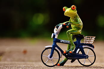 kermit, frog, riding, bike, funny, cute, sweet, figure, drive