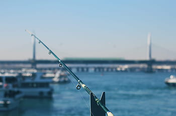 hanya memancing, memancing, teluk, laut, kapal bahari, air, istanbul, pelabuhan, transportasi, kalkun - timur tengah, langit