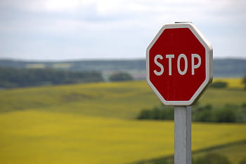 zastavit ulice nápisy, stop, štít, dopravní značka, Pozor, ulice znamení, warnschild, silnice, informační tabule, obsahující, značky