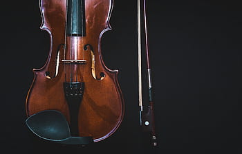 violin, music, musical, instrument, sound, melody