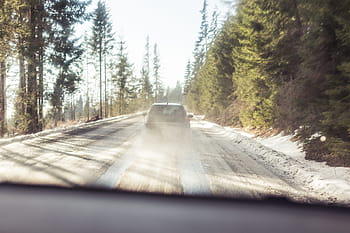 次、 車、 林道、 寒さ、 ドライブ、 運転、 森、 自然、 道路、 雪、 木