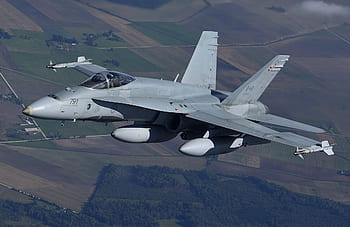 grey jet fighter, military aircraft, aerial view, fighter jet, military operation, Canadian fighter jet, jet in flight, air force jet, military aviation, fighter plane, aircraft in flight