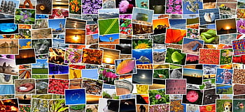kolekce různých fotografií, fotografie, sbírka, snímky, fotky, kolekce fotografií, fotoalbum, mozaika, koláž, nahrávek, rozmanitost
