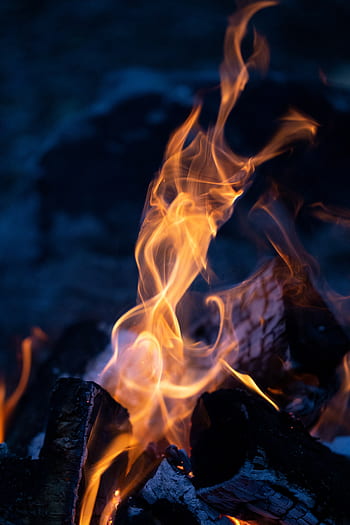 campo, fuoco, legna, natura, caldo, arancia, giallo, notte, all'aperto, fiamme, calore