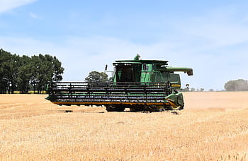 harvest, wheat, cereal, agriculture, farm, harvesting, rural Scene, combine Harvester, crop, field, cereal Plant