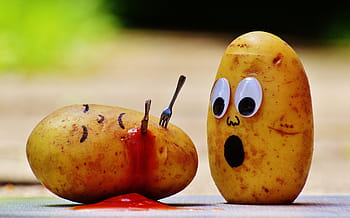 shallow, focus, two, potatoes art, potatoes, ketchup, murder, blood, funny, fun, knife