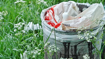 white, trash bin, grass, garbage can, waste, waste bins, recycle bin, garbage, waste disposal, environmental protection, environmental environmentalism
