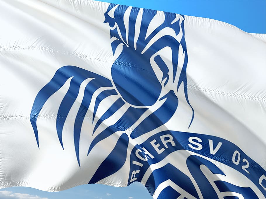 flag, logo, football, 2, bundesliga, msv duisburg, zebras