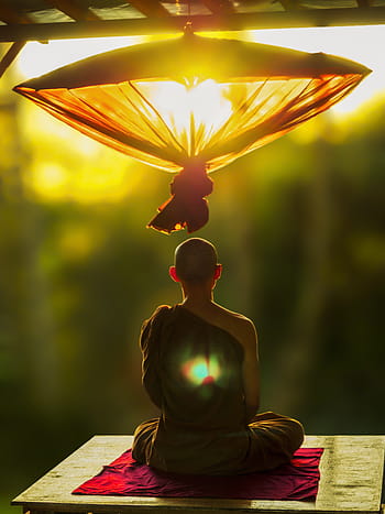 man meditating, theravada buddhism, meditate, umbrella, monk meditating, theravada, buddhism, meditation, temple, culture, religious