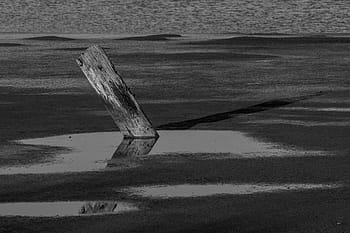 Šedá, měřítko fotografie, dřevěný, prkno, ve stupních šedi, fotografie, dřevo, plovoucí, tělo, voda, jezero