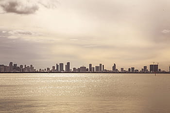 coastal, city, building, golden, hour, cityscape, buildings, architecture, high rises, towers, urban