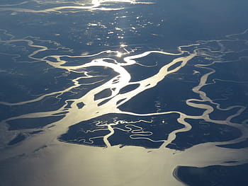 swamp, florida, wetland, river delta, everglades