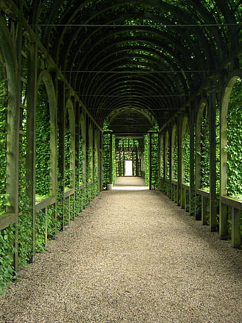 fotografie, chodba, zelená, listové rostliny, zelený list, rostlin, palác, zahrada, světlo, tunel, pěšina