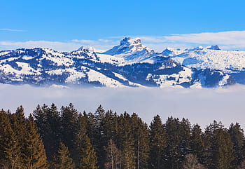 švýcarsko, schwyz, zimní, zimní čas, Pohled, krajina, strom, smrk, sníh, mrak, mlha