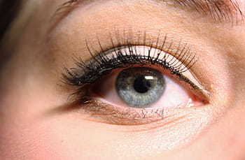 close, photography, human, eye, the eye, blue, false lashes, eyelashes, eyeliner, makeup, women