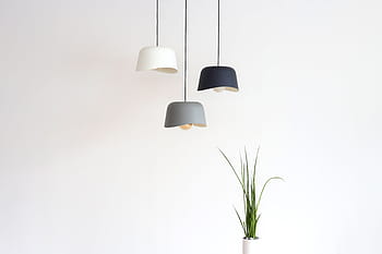 tre, bianca, nero, grigio, lampade a sospensione a sospensione, verde, pianta fogliare, luce pendente, illuminazione a sospensione, Pado, konsyap