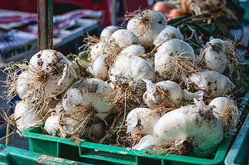 garlic, market, Dirty, Malta, food, freshness, vegetable, raw Food, organic, healthy Eating, nature