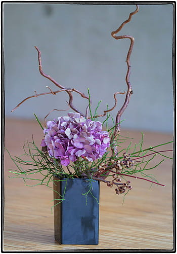 pink, hydrangeas, blue, vase centerpiece, brown, wooden, surface, Ikebana, Flower, Violet, Beauty