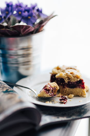 pot, kue, buku, Bunga, flora, pink, cantik, kue buah, ungu, violet, makanan