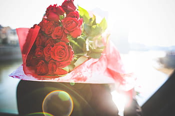 ramo, rosas, ramo de rosas, rayos de sol, flores, caballero, amor, hombre, san valentín, luz del sol, soleado