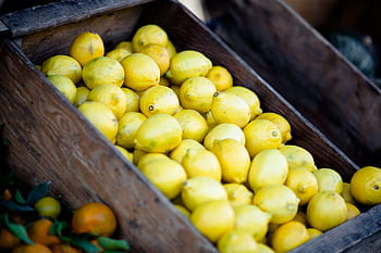 lemons, fruits, basket, market, food, healthy